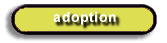 Adoption.com